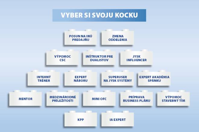 Image that shows you an overview of which bricks you can choose